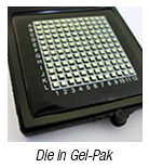 Gel-Pak